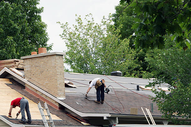 Best Roof Gutter Cleaning  in Kapn, LA